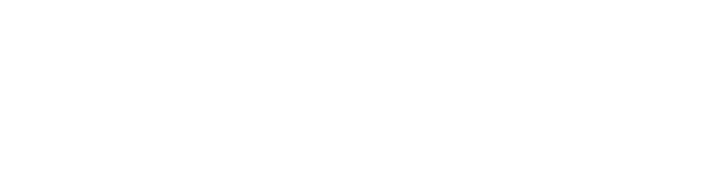 GEMINI SRL